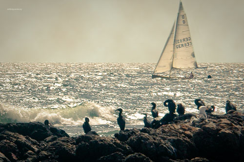 # 28138 > Enrique Abal Oli&uacute;