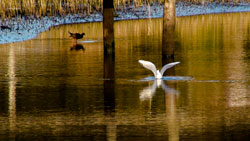 # 60167 > Enrique Abal Oli&uacute;