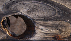 # 63461 > Enrique Abal Oli&uacute;