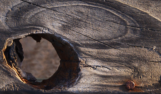 # 63461 > Enrique Abal Oli&uacute;