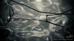 # 63909 > Enrique Abal Oli&uacute;