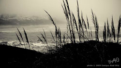 # 64620 > Enrique Abal Oli&uacute;