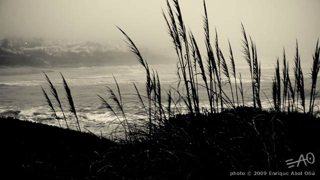 # 64620 > Enrique Abal Oli&uacute;