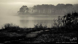 # 66328 > Enrique Abal Oli&uacute;