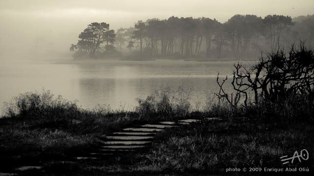 # 66328 > Enrique Abal Oli&uacute;