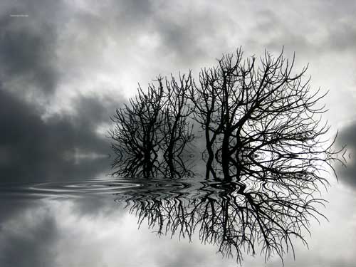 Mi otro yo > Cecilia Pereira Alvarez